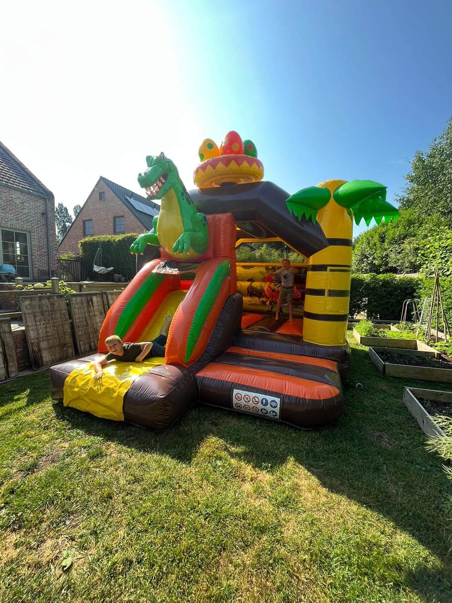 Dino Springkasteel
